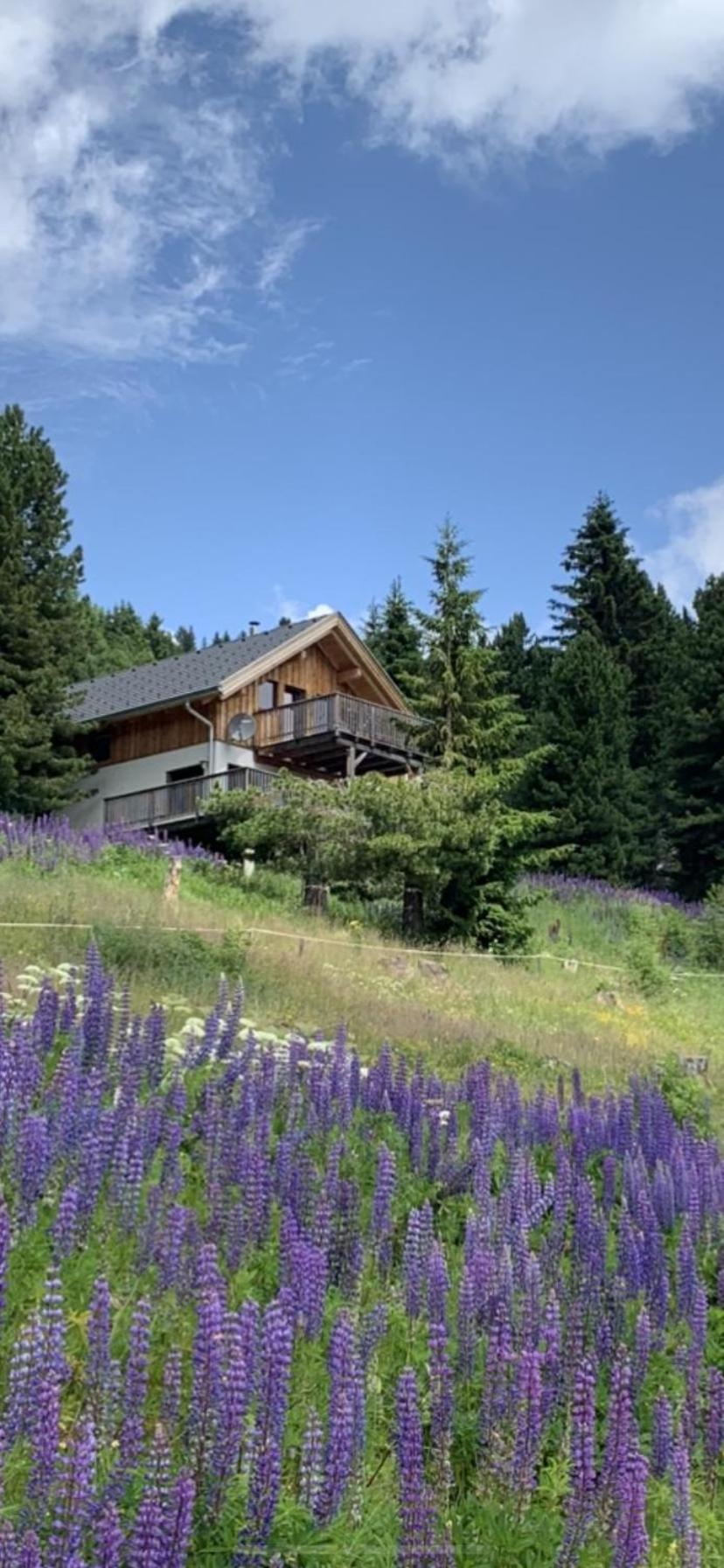 Chalet Claassen Turracher Hohe Esterno foto